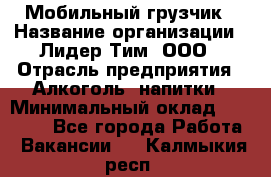 Мобильный грузчик › Название организации ­ Лидер Тим, ООО › Отрасль предприятия ­ Алкоголь, напитки › Минимальный оклад ­ 18 000 - Все города Работа » Вакансии   . Калмыкия респ.